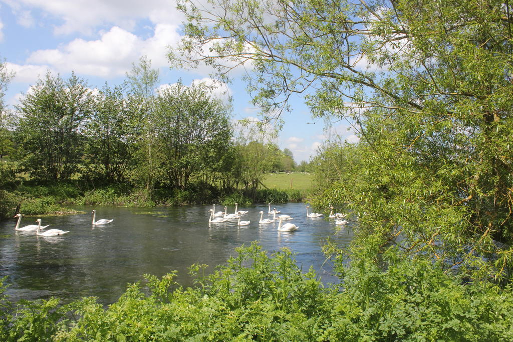 Hotel The Swan At Stoford Stapleford  Zewnętrze zdjęcie
